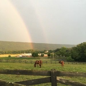 Meet your Posher, Jonah